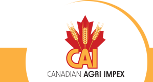 CAI logo